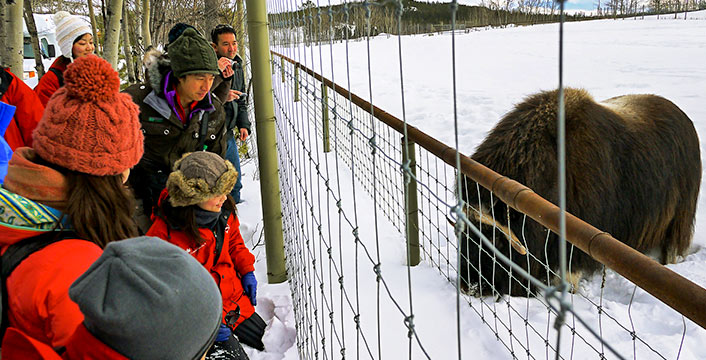 ユーコン野生動物保護区(イメージ)