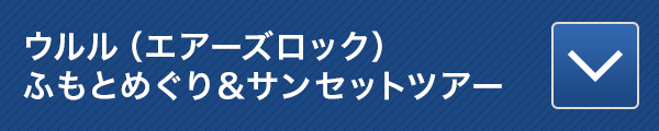 ウルル(エアーズロック)ふもとめぐり&サンセットツアー