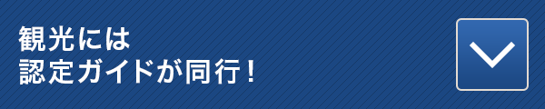 観光には認定ガイドが同行!