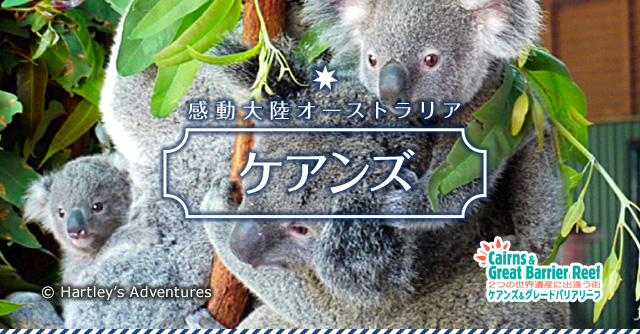 感動大陸オーストラリア　ケアンズ