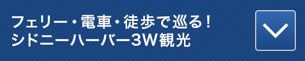 フェリー・電車・徒歩で巡る!シドニーハーバー3W観光