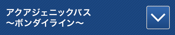 アクアジェニックバス~ボンダイライン~