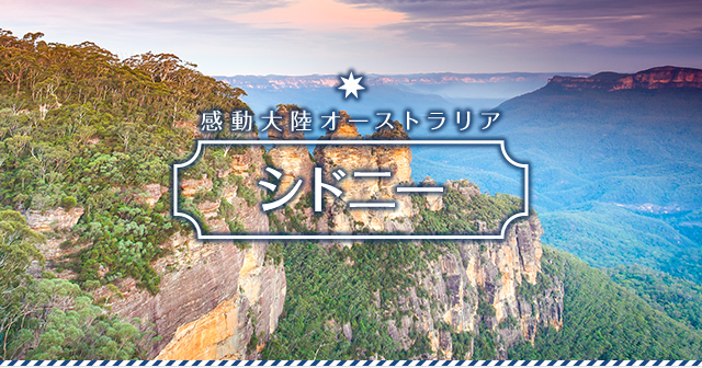 感動大陸オーストラリア ケアンズ