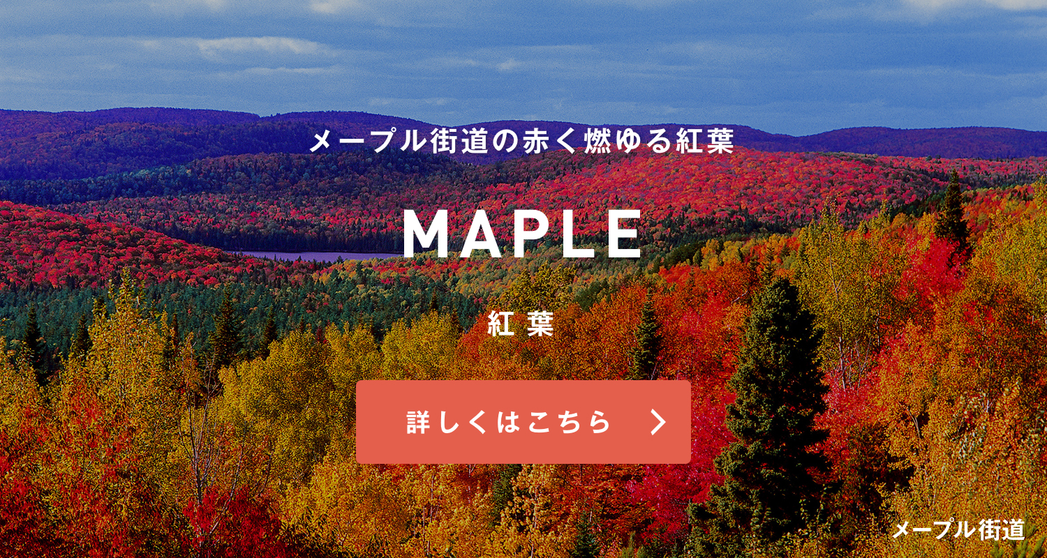 紅葉