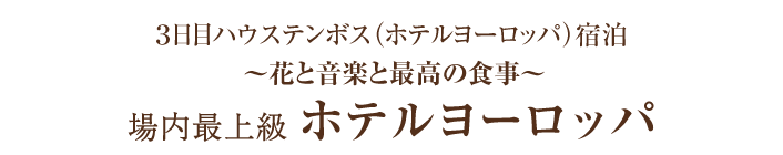 3日目ハウステンボス（ホテルヨーロッパ）宿泊～花と音楽と最高の食事～場内最上級ホテルヨーロッパ（テキスト）