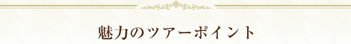 魅力のツアーポイント（テキスト）
