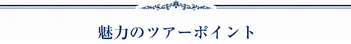 魅力のツアーポイント（テキスト）