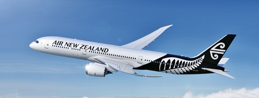 ニュージーランド航空機影（イメージ）
