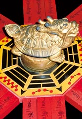 龍亀占い(イメージ)