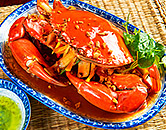 Ngon Villa 料理一例（イメージ）