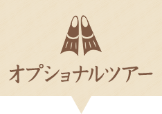 オプショナルツアー