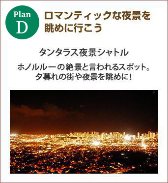 planD ロマンティックな夜景を眺めに行こう