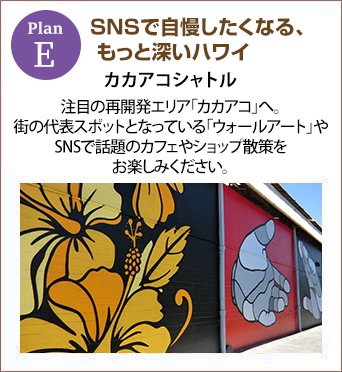 planE SNSで自慢したくなる、もっと深いハワイ
