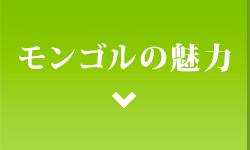 モンゴルの魅力