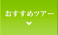 おすすめツアー