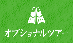 オプショナルツアー