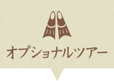 オプショナルツアー