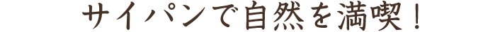 サイパンで自然を満喫!(テキスト)