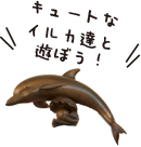 イルカ