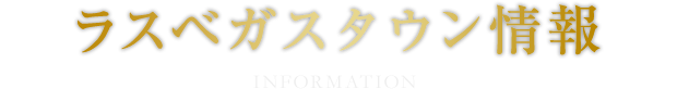至高のパフォーマンスに酔いしれる 本格的なショーの数々