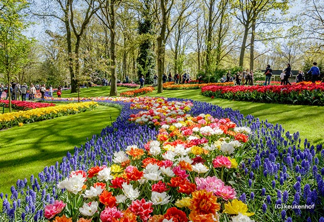 His 絶景 キューケンホフ公園