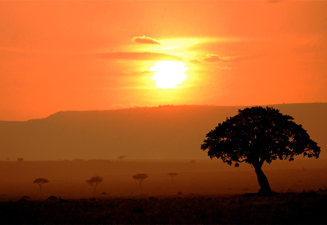 His 絶景 マサイマラ国立保護区