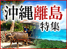 沖縄離島特集