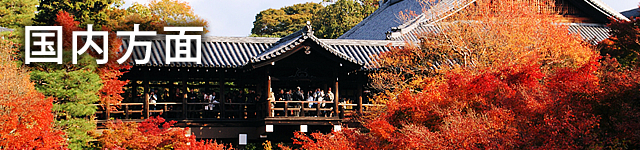 国内旅行