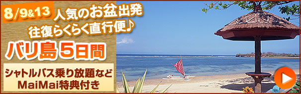 バリ島チャーター便
