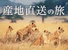産地直送の旅