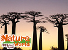 Nature World(秘境旅行)